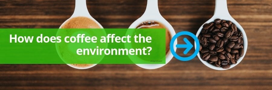 How coffee affects the environment