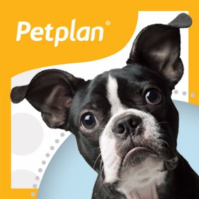 Pet Plan logo