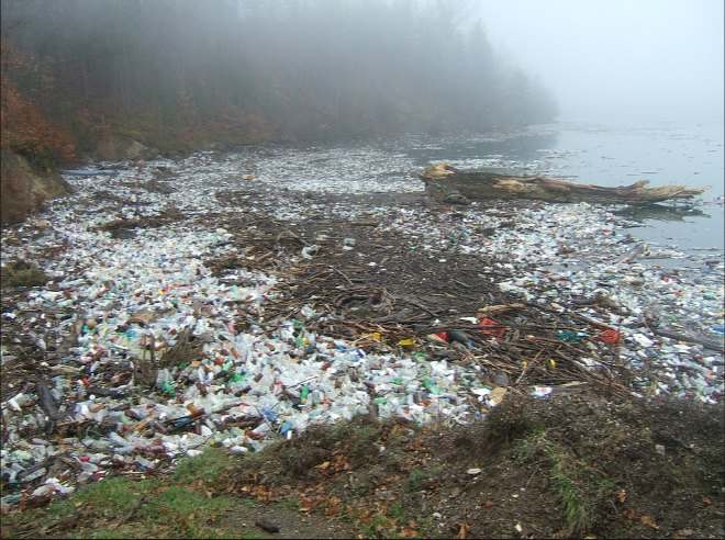 Plastic waste piled in water